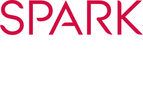 Sparkstone Coaching - Logo